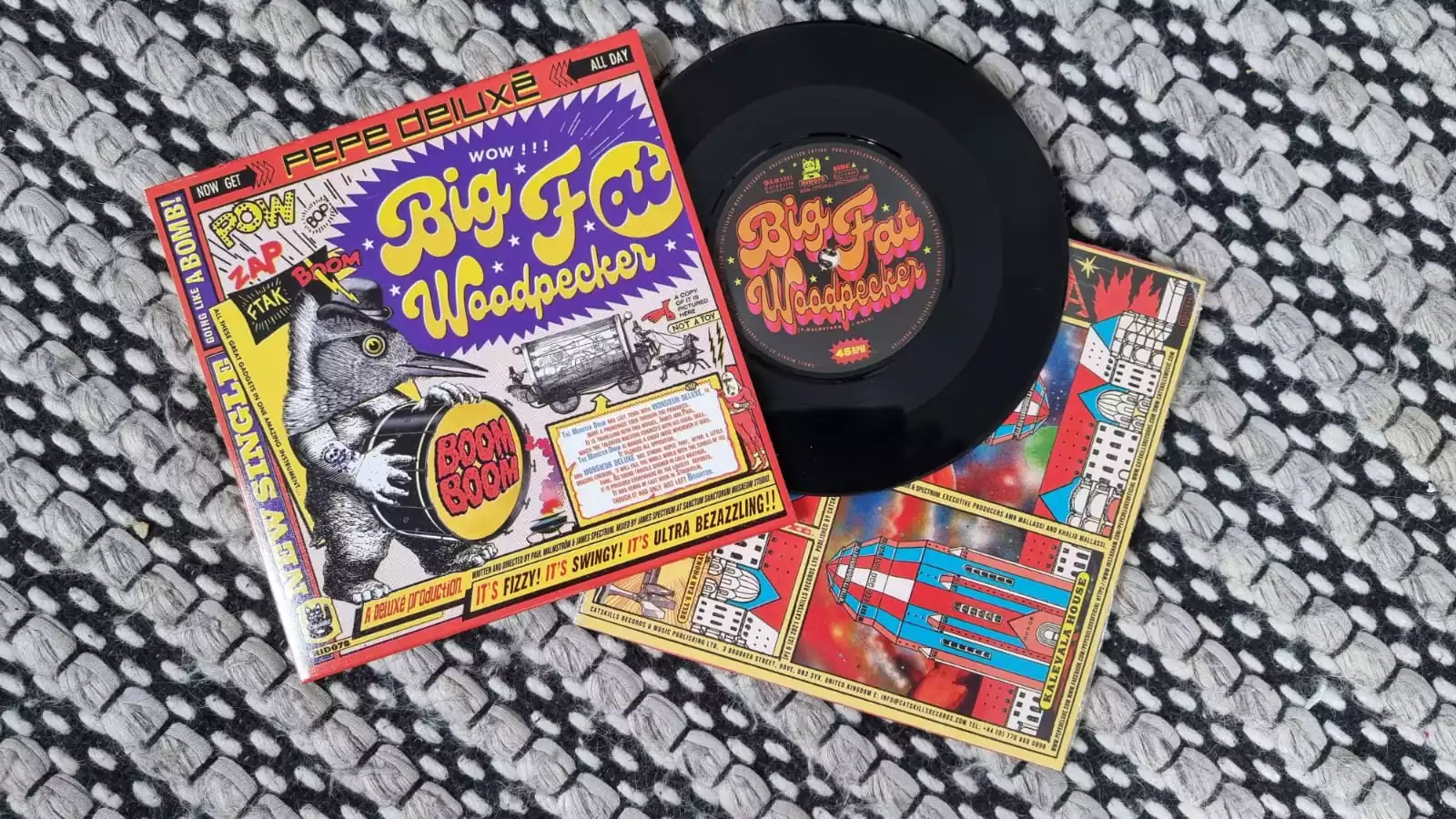 Woodpecker Vinyl Photo 2