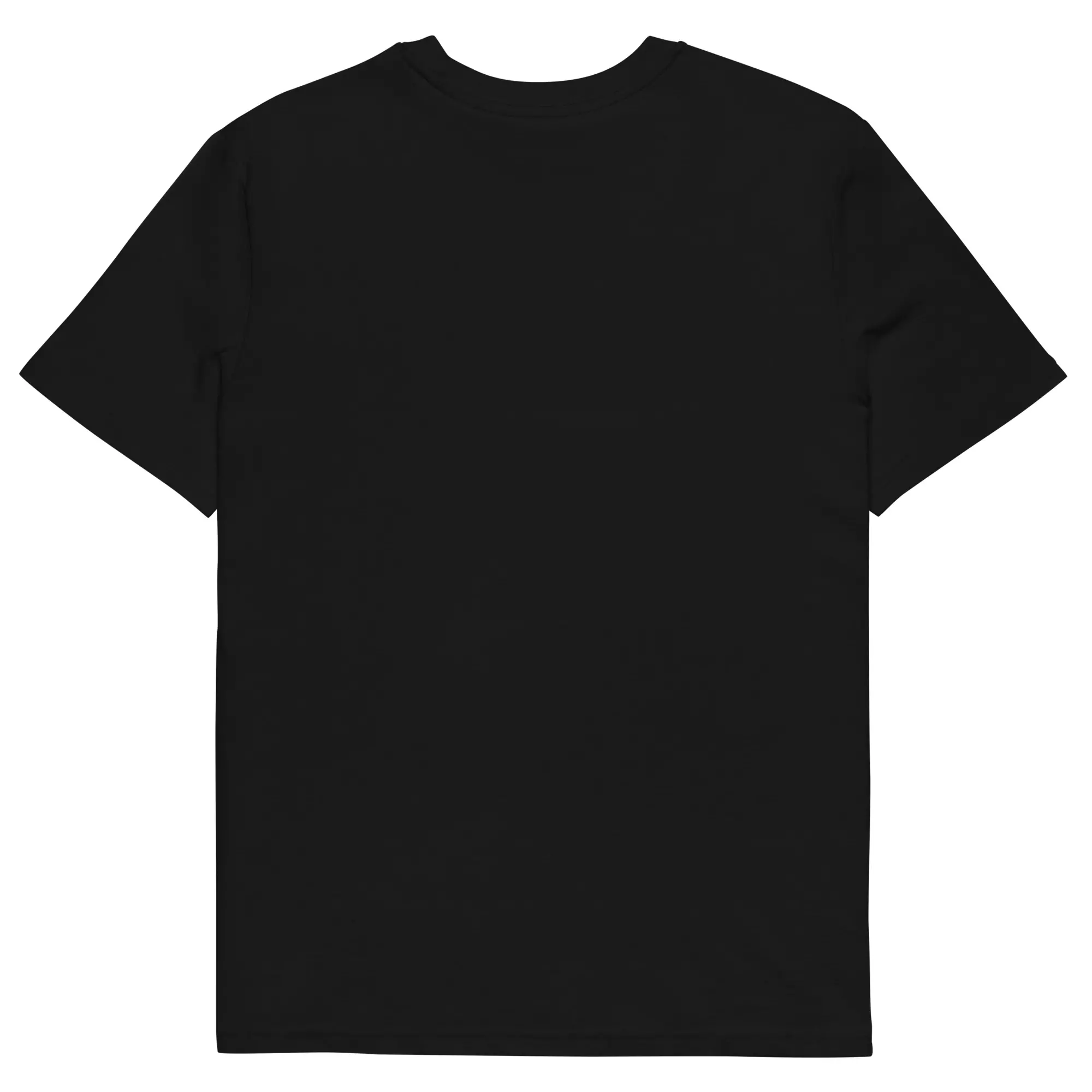 unisex-organic-cotton-t-shirt-black-back-6673fa99e7584.jpg