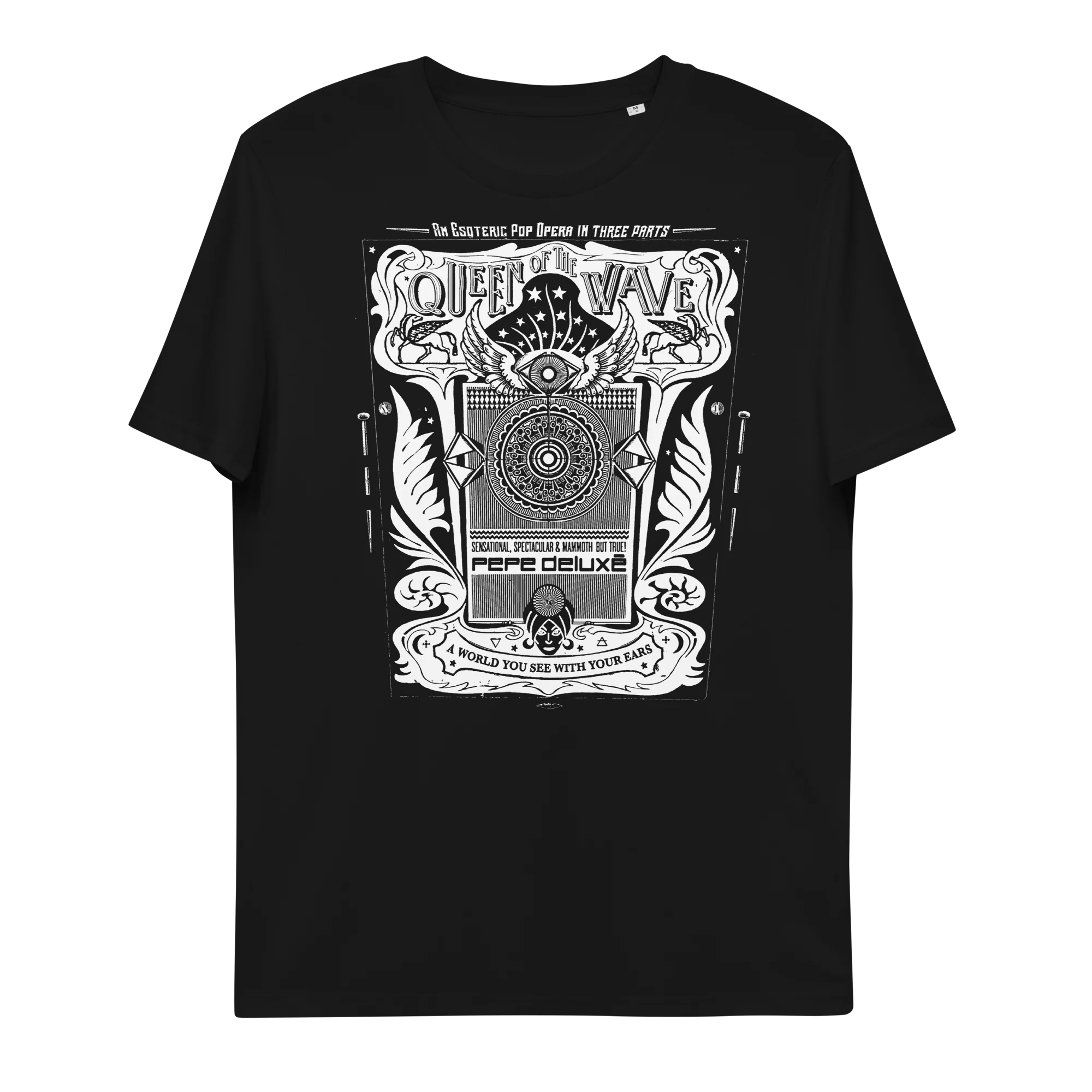 unisex-organic-cotton-t-shirt-black-front-64823e2b72566